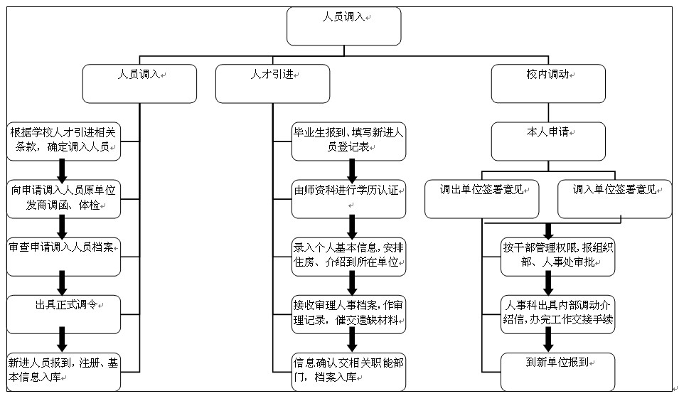 如何合理调配服务器资源以满足旅游网站的运营需求 (如何合理调配加工猫的日粮)-虎跃云资讯网